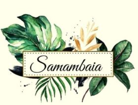 Samambaia